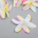 Budon on the leg for decoration "Lily Garden" multi -colored 6.5x6.5 cm