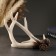 Standing for a bottle "Deer horns" 28*25cm