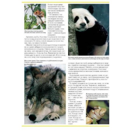 Riddles of the animal world-3