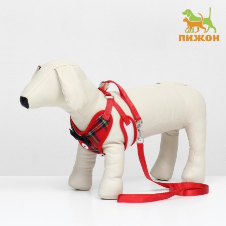 A set with a soft harness and a bantic "Cell", size M, leash 120 x 1.5 cm, og 28-46 cm