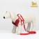 A set with a soft harness and a bantic "Cell", size M, leash 120 x 1.5 cm, og 28-46 cm