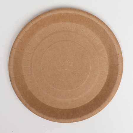 Paper plate, craft, 18 x 18 cm