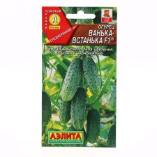 Cucumber seeds 