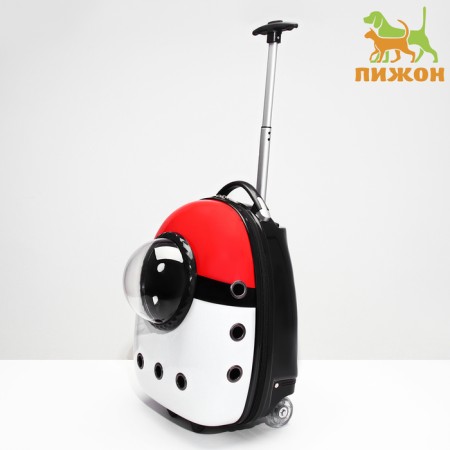 A backpack for carrying animals on wheels, 33 x 23 x 42 cm