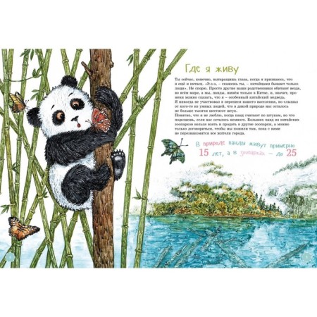 I am a big panda. Coloring inside. Shifrin E.-1
