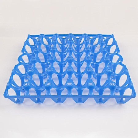 Tray for chicken eggs, blue-1