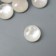 Tops for creativity plastic "Circle" mother -of -pearl set 30 pcs d = 0.8 cm