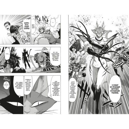 One-Punch Man 13. Book 24-25. Technory. Unknown power. One-2
