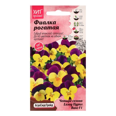 Flower seeds Violet "Ello Purple Wing", 5 pcs