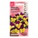 Flower seeds Violet "Ello Purple Wing", 5 pcs