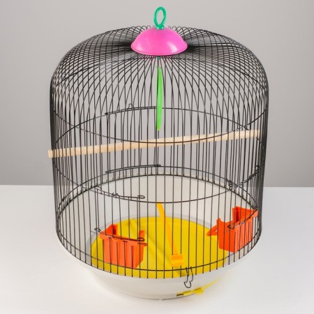 Bird cage is round, two -tier welded, large pallet, 39 x 44 cm, mix of flowers-2