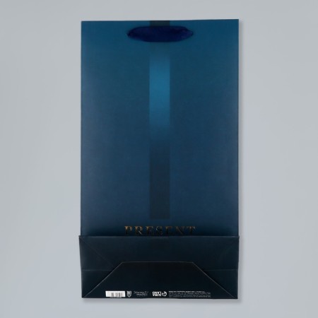 Gift package for two bottles, packaging, "Present", 35 x 20 x 9 cm-9