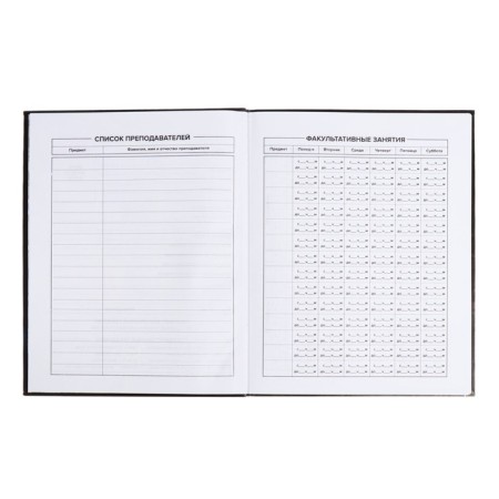 School diary for grades 1-11 "Leo", covered cardboard, glossy lamination, embossing foil, universal cheat sheet, 48 sheets, block 65g/m2-5