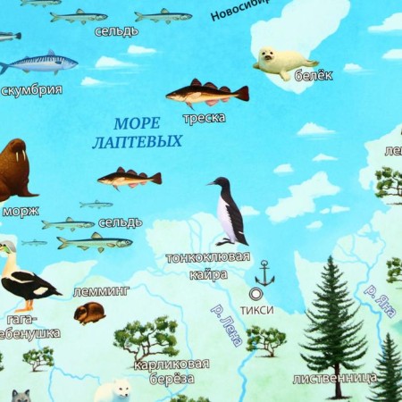 Russian map for children "Map of our Motherland", 101 x 69 cm, laminated-2