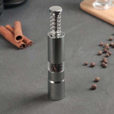 Mill for spices "Spring", 15 × 2.5 cm, metal mechanism, silver color-1