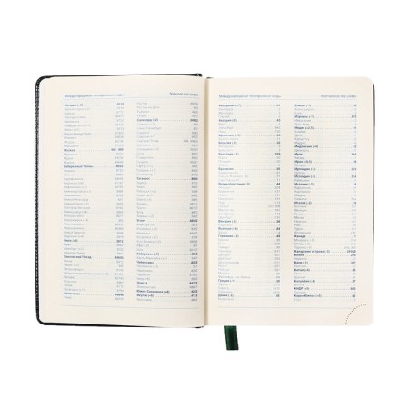 Dated diary of 2025, A5, 168 sheets in the ruler, leatherette "Nebraska", gold cut, green-7