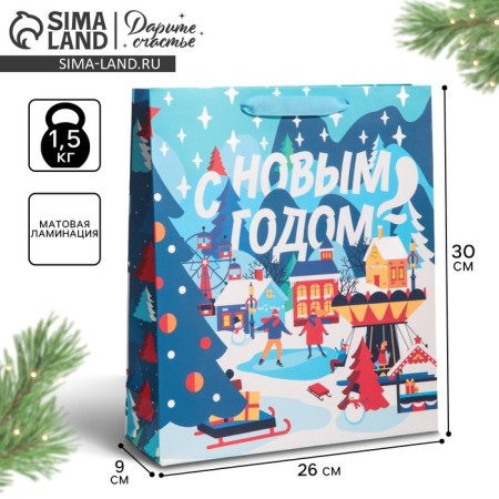Laminated vertical packet “Winter in the city”, M 26 x 30 x 9 cm, New Year