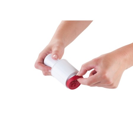 Tescoma Delicia cookie print, 6 Christmas motifs-1