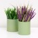 Set of round boxes 2B1, "green", without a cover, 10 x 10 x 10.5 cm