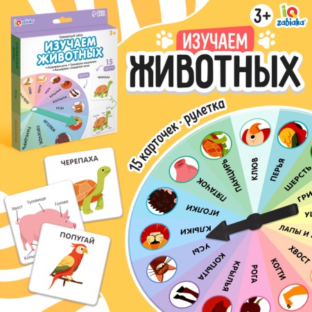Developing set of "studying animals"