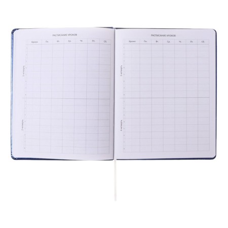 Universal diary for grades 1-11, hard cover, artificial leather, foam rubber, silkography, lies, 80 g/m2-4