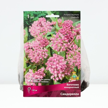 Vatom Incarnate Sinderella, rr I, 1 pc, spring 2025