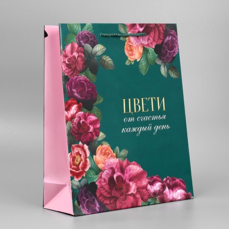 Gift package laminated, packaging, “every day”, m 24 x 29 x 9 cm-3