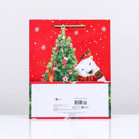 Gift Package "Fairy Tale", 26 x 32 x 12 cm-1