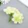 Flowers for decorating "hydrangea" white-green 10x10 cm
