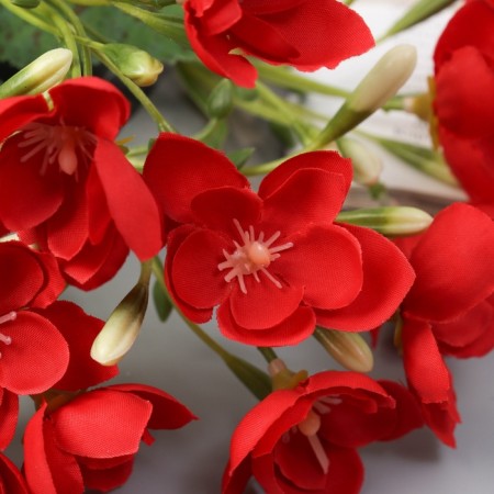 Bouquet "Turkish clove" 28 cm, mix-1