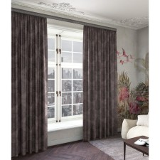 Curtain 