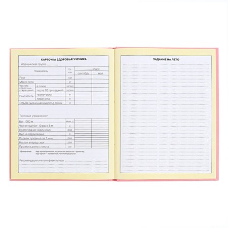 Diary for grades 1-4, solid cover "Girlfriends", matte lamination, selective varnish, block 60 g/m2-12