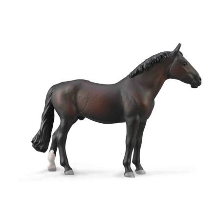Figure "The bay stallion of the Holstein breed", XL