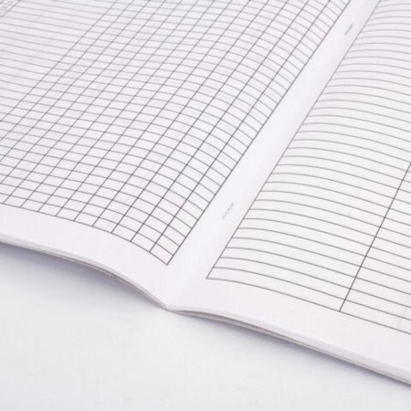 Group class accounting journal, 48 sheets, A4 200 x 290 mm, cardboard, offset, staff-5