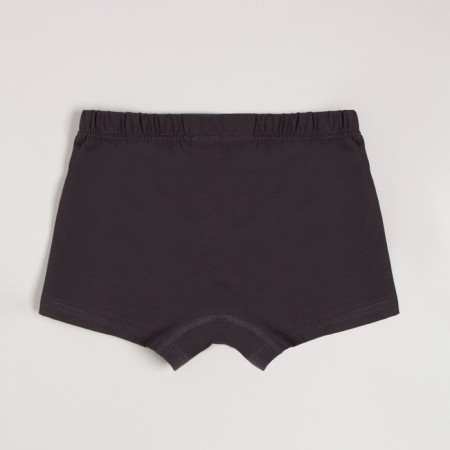 Panties men's boxers with gulfik minku color gray, river 42-9