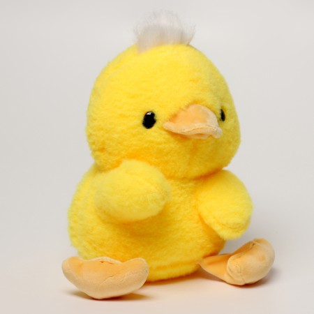 Napchik children with a soft toy "chicken"-3