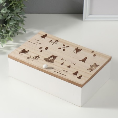 Casket tree with divisions "Forest Beasts" 23x15x8.3 cm