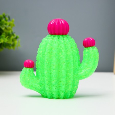 Strack "Cactus" LED 1W from the batteries LR44 mix 13x5x13cm Risalux-6