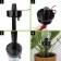 Auto -polyws for indoor plants, under a bottle adjustable