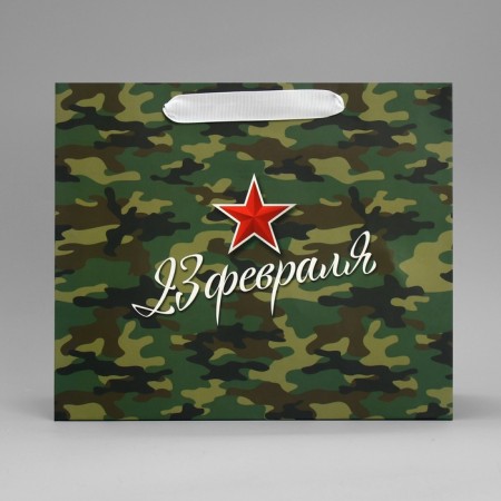 Gift Laminated Horizontal Package, Packaging, Zvezda, Ml 27 x 23 x 11.5 cm-2