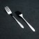 Set of canteen forks "Spring", h = 18 cm, 12 pcs