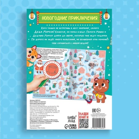 The book “Find what is hidden. New Year's adventures "-5