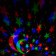 Light device "Festive lamp" 11 cm, E27, speaker, remote control, glow RGB