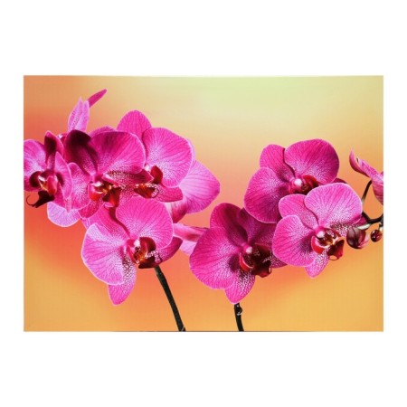 Picture on the canvas "Pink Orchid" 50*70 cm