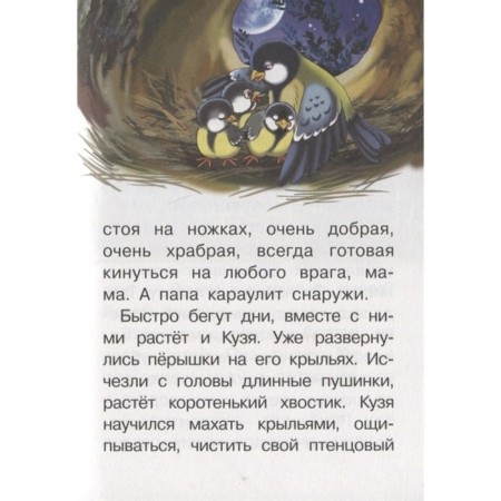 Forest Tales, Nikonov N. G.-6