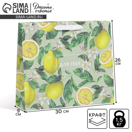 Package Gift Craft horizontal, packaging, “lemons”, m 30 x 26 x 9 cm
