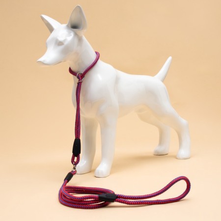 Ringovka with a swivel, 150 x 0.6 cm, red-blue-3