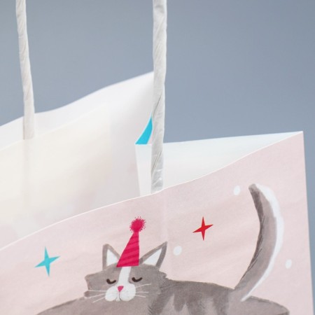 Gift Crafts, Packaging, "Party", 22 x 25 x 12 cm-4