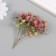 Sukhotzet "hydrangea" green-red h = 6-6.5 cm