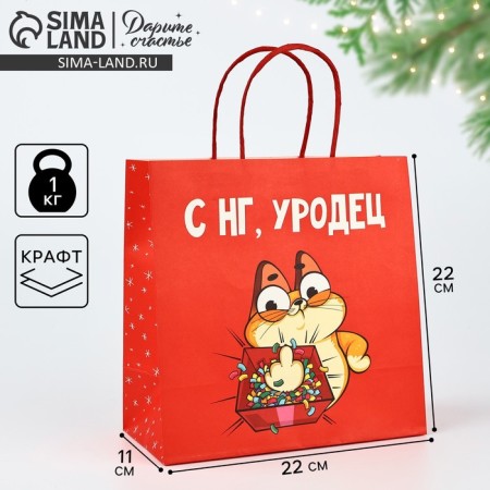 Gift Package "Freak", 22 x 22 x 11 cm, New Year